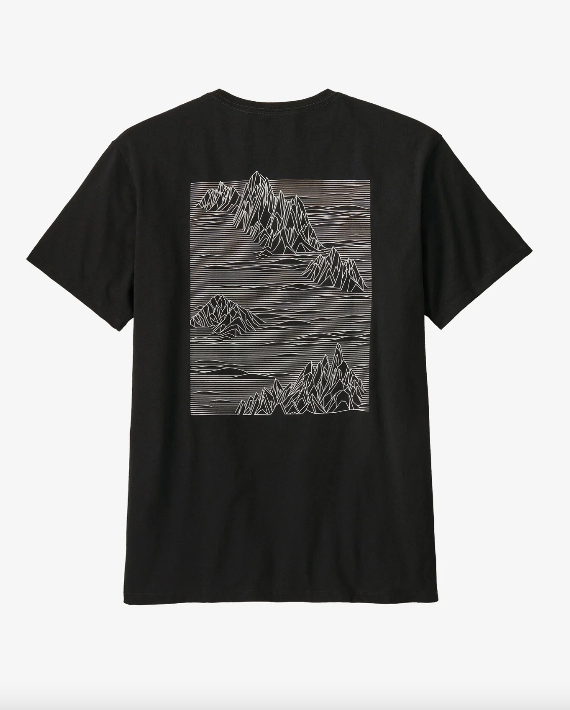 Patagonia Strataspire Responsibili-Tee