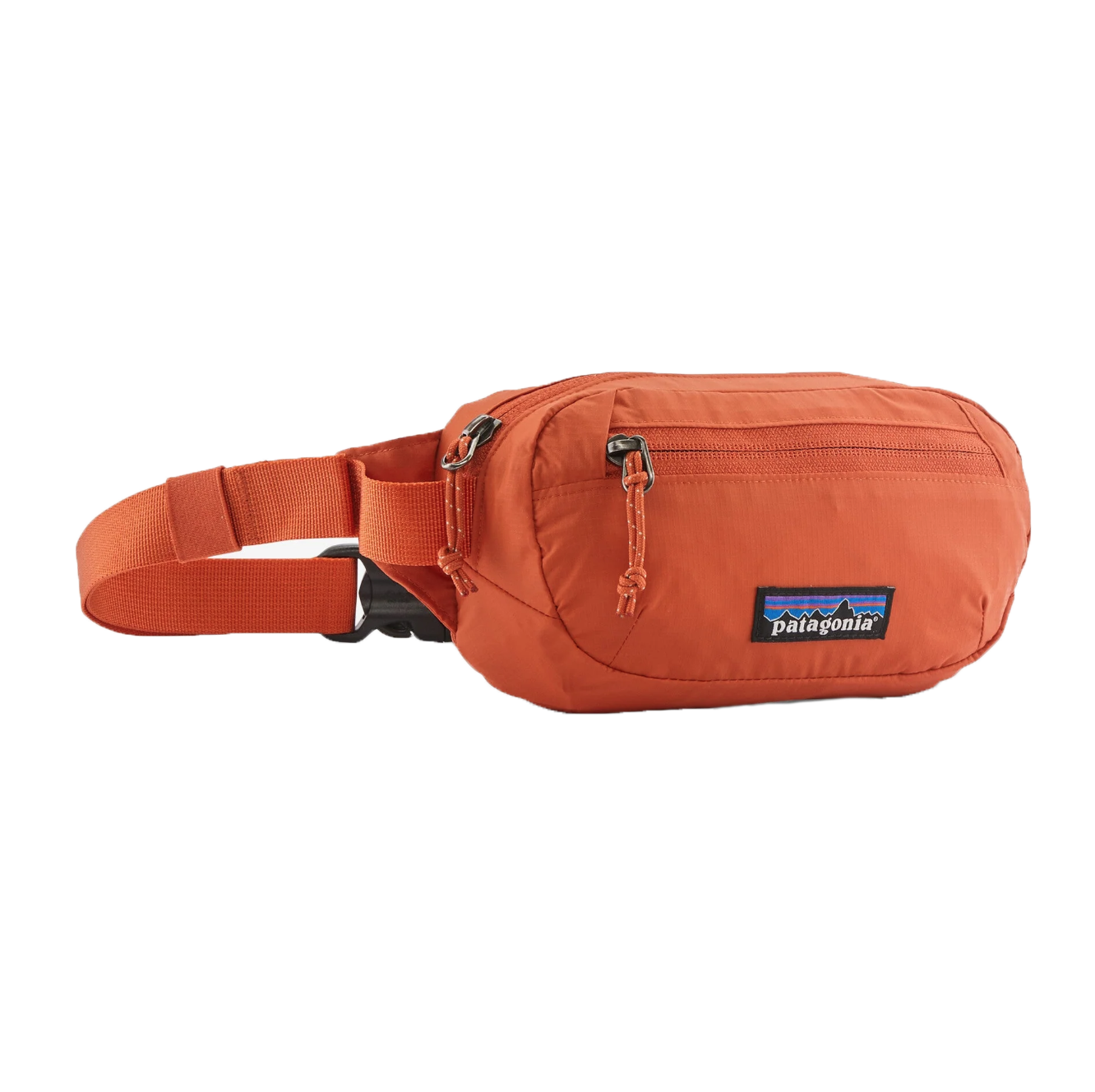 Patagonia Ultralight Black Hole Mini Hip Pack 1L