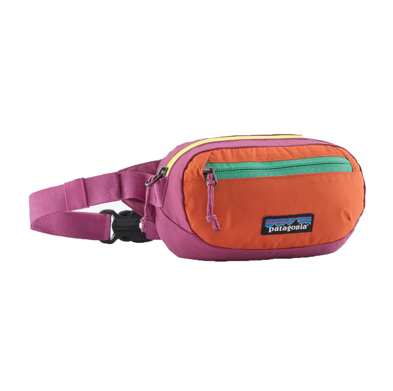 Patagonia Ultralight Black Hole Mini Hip Pack 1L