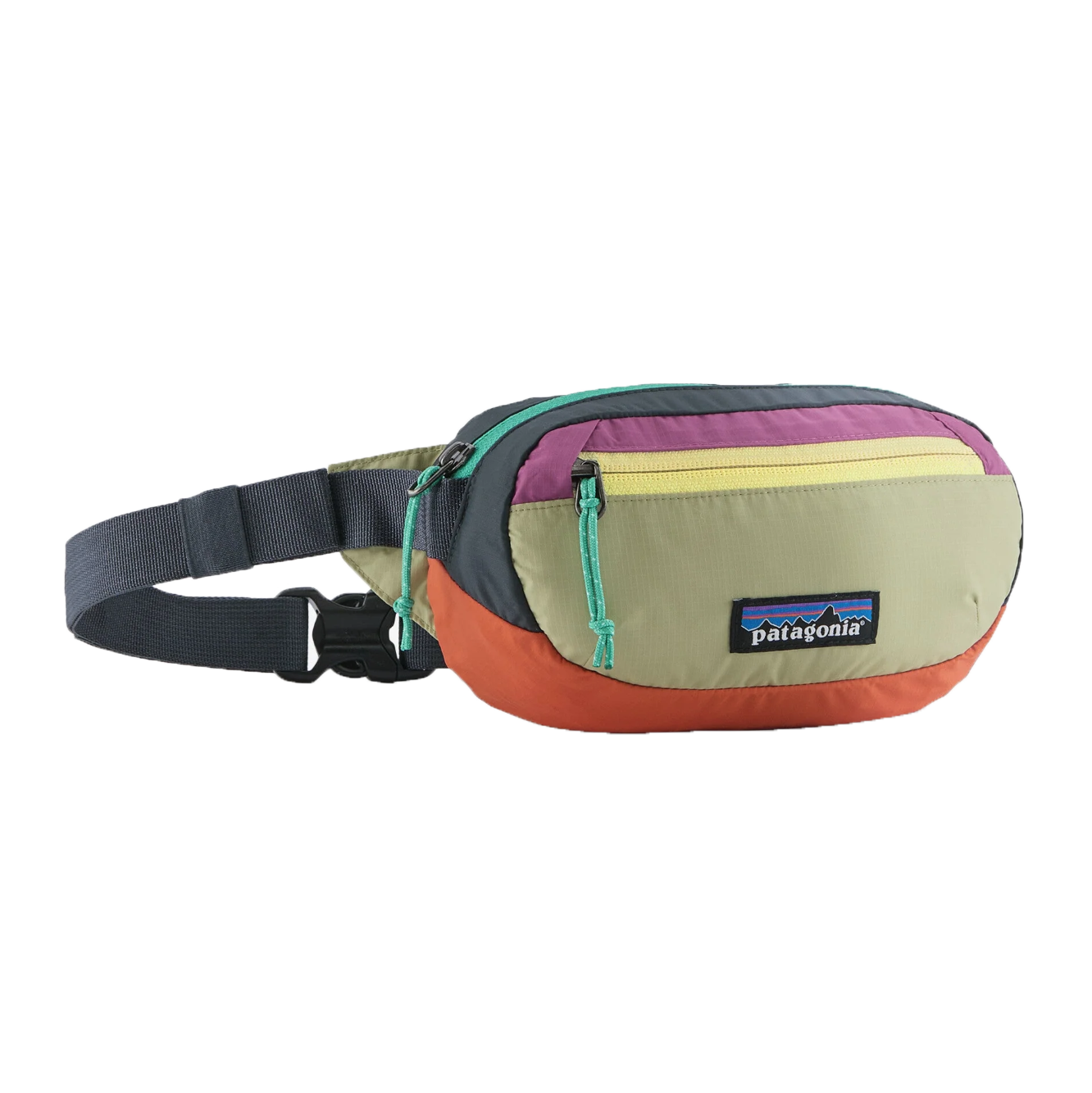 Patagonia Ultralight Black Hole Mini Hip Pack 1L