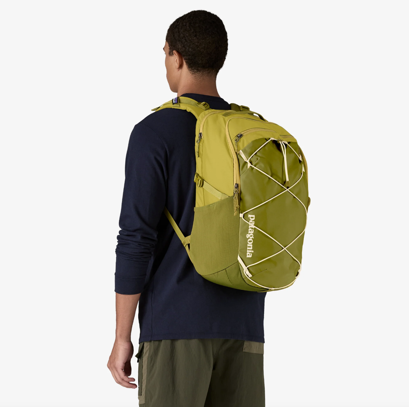 Patagonia Refugio Day Pack 30L