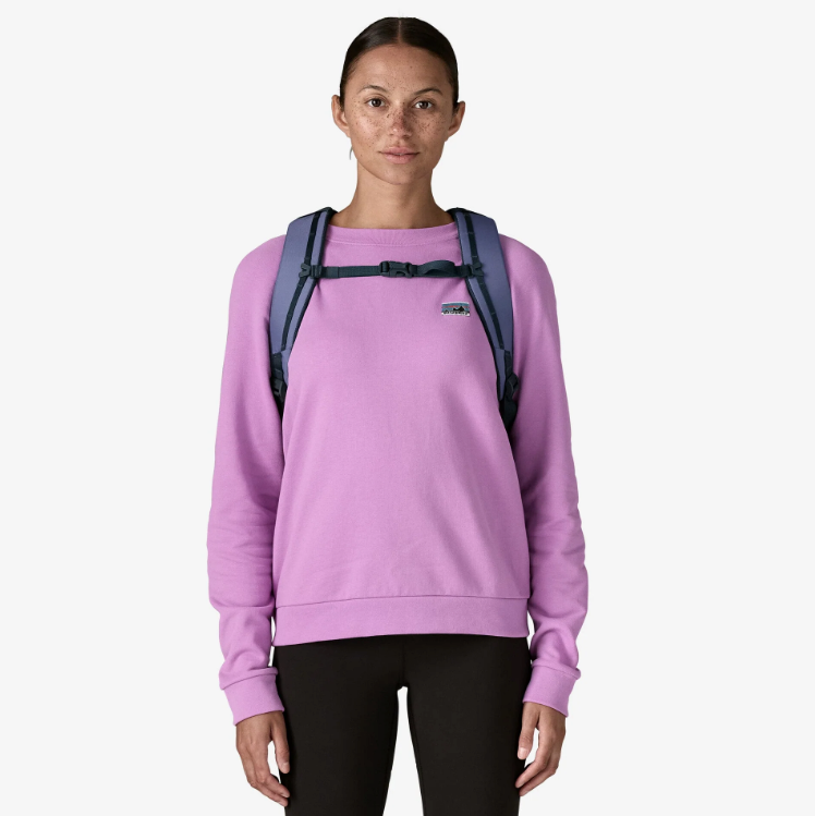 Patagonia Atom Pack 20L