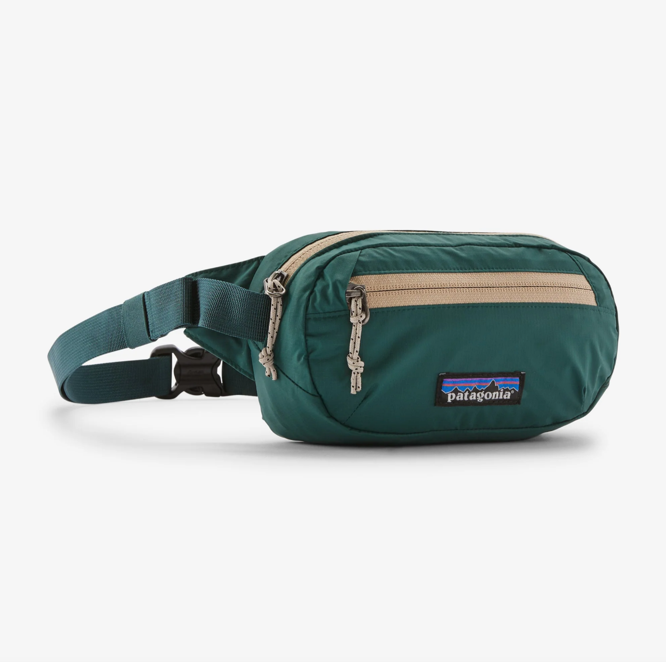 Patagonia Ultralight Black Hole Mini Hip Pack 1L