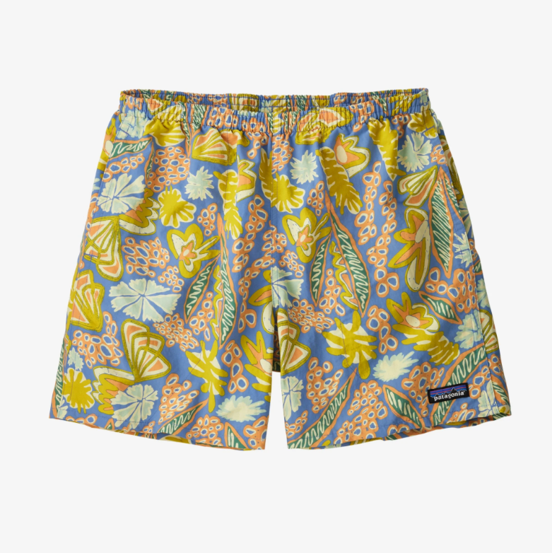 Patagonia Men's Baggies 5 inch