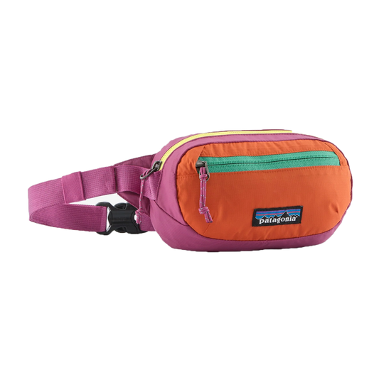 Patagonia Ultralight Black Hole Mini Hip Pack 1L